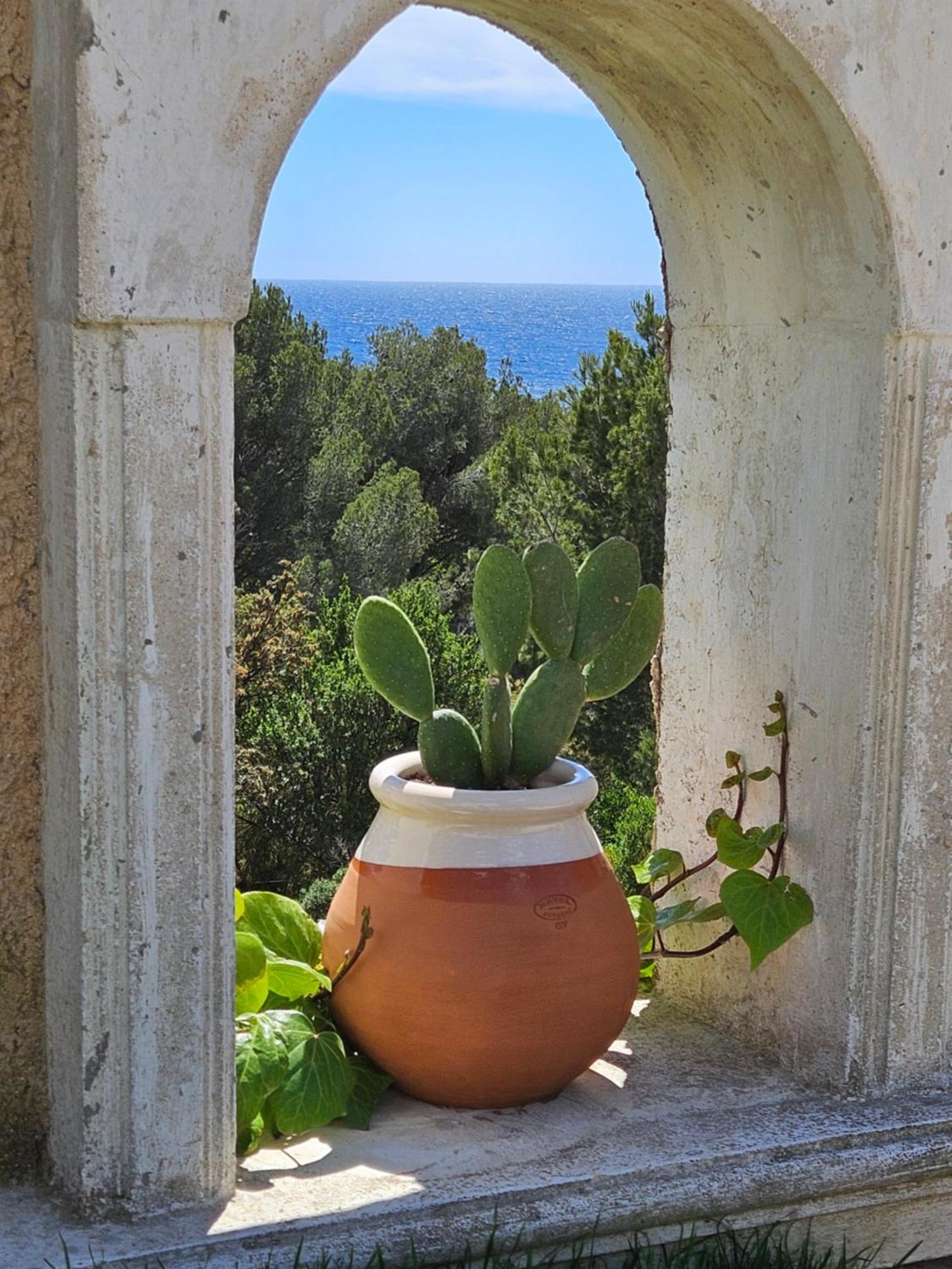 Les Cactus Bleus Bed & Breakfast Sausset-les-Pins Luaran gambar